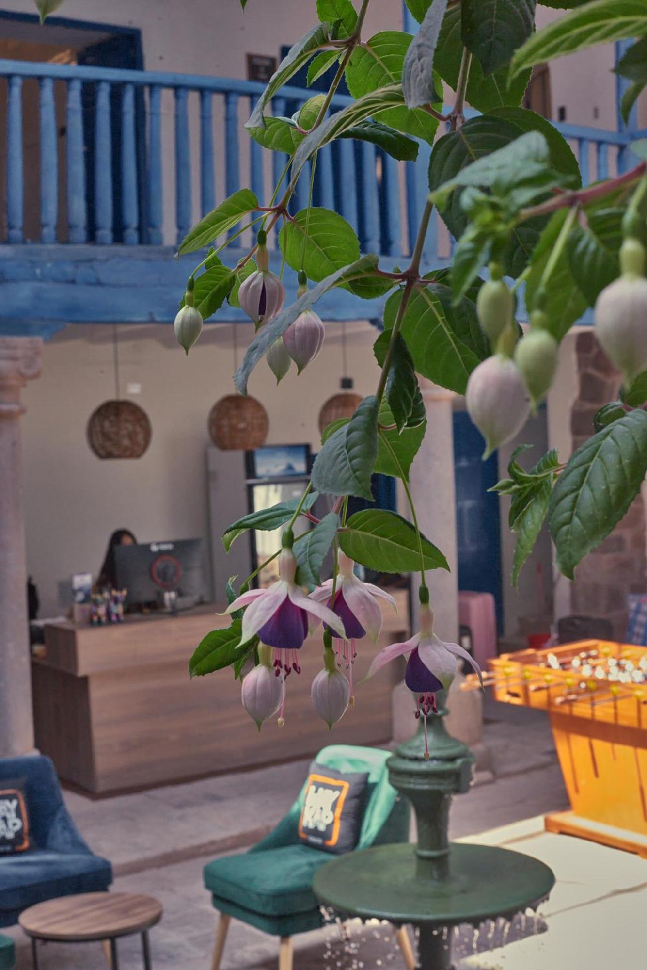 Way Kap Hostel Cusco Dış mekan fotoğraf
